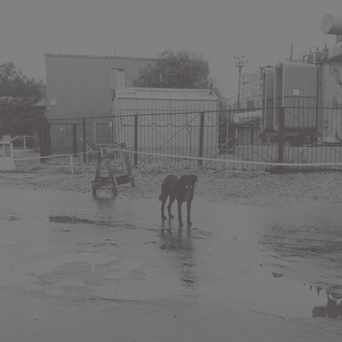 Nivhek - After its own death / Walking in a spiral towards the house
