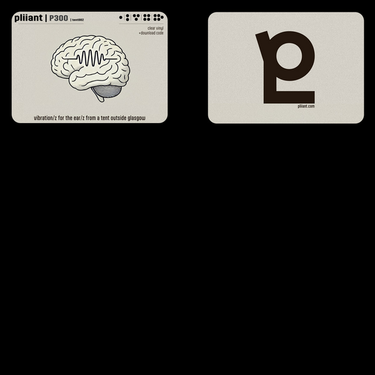 pliiant - P300