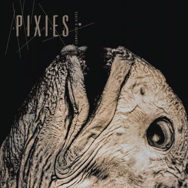 PIXIES - COMPLETE B-SIDES