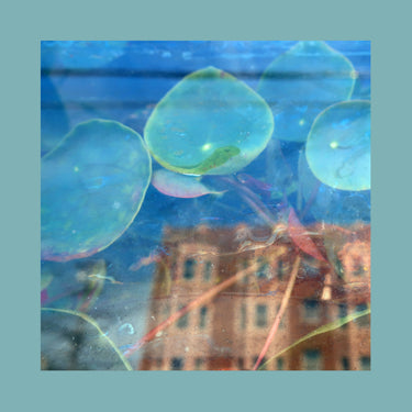 The Reds, Pinks and Purples - Acknowledge Kindness