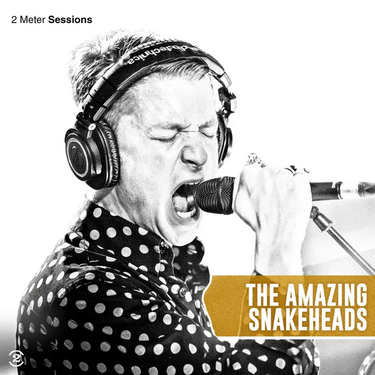 Amazing Snakeheads - 2 Meter Sessions