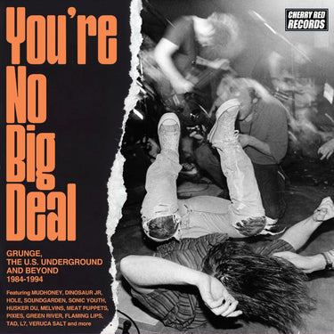 The U.S. Underground You're No Big Deal: Grunge And Beyond 1984-1994 - Various Artists