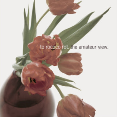 To Rococo Rot - The Amateur View (Expanded Edition)