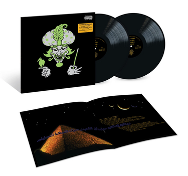 2xLP - black