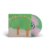 Pink / Green Swirl Vinyl LP