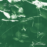 The Gentle Spring - Northernhay