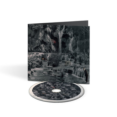 CD