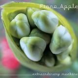 Fiona Apple - Extraordinary Machine