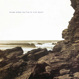 POLYGON WINDOW (Aphex Twin) - SURFING ON SINE WAVES