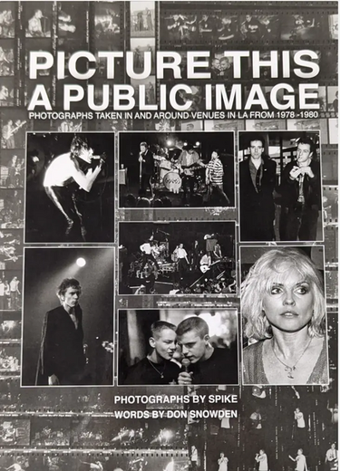 Spike Waltzer - Picture This: A Public Image