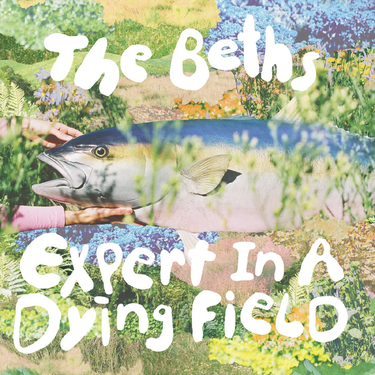 The Beths - Expert In A Dying Field