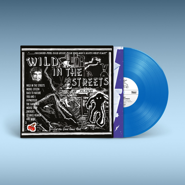 Blue Vinyl