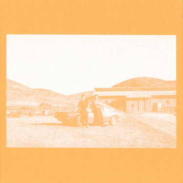 The Frenzied Bricks - The Frenzied Bricks
