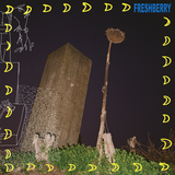 Freshberry - Diamond Files