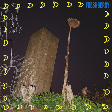 Freshberry - Diamond Files