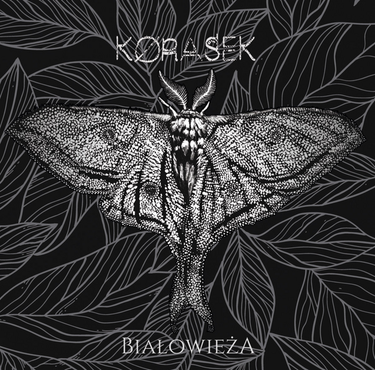 Korasek - Białowieża