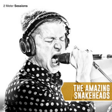Amazing Snakeheads - 2 Meter Sessions