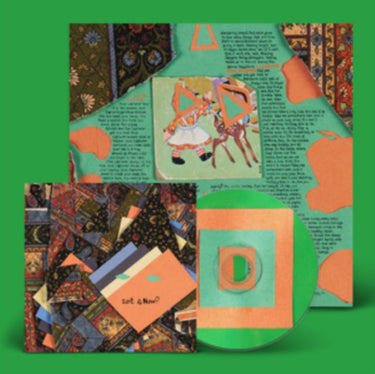 Animal Collective - Isn't It Now?