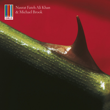 Nusrat Fateh Ali Khan & Michael Brook - Night Song - 30th Anniversary Edition
