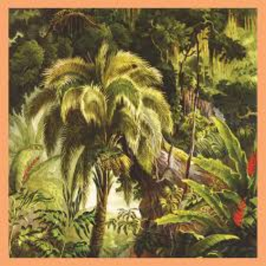 La Foret - Xiu Xiu
