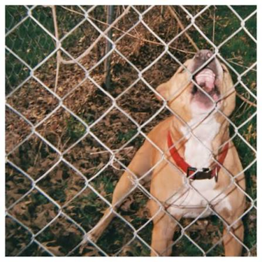 Knocked Loose - Pop Culture