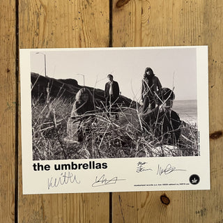 Welcome to the Jangle: The Umbrellas return