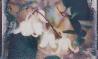 Eye Of The Sea: Svitlana Nianio