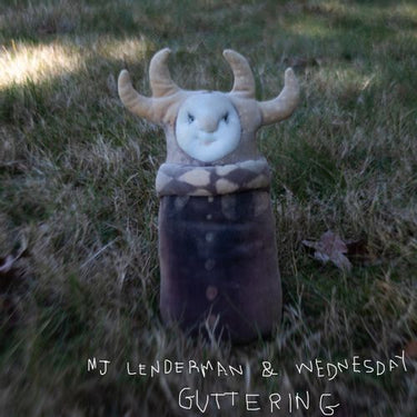MJ Lenderman & Wednesday - Guttering (2025 Reissue)