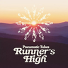 Pneumatic Tubes - Runner’s High