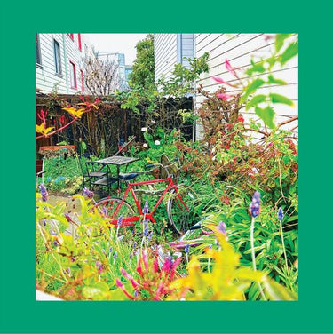 The Reds Pinks and Purples - Unwishing Well