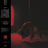 Knocked Loose - A Tear In The Fabric of Life