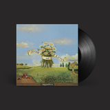 Black vinyl LP