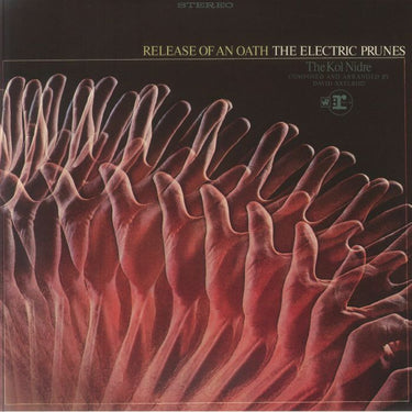 Electric Prunes - Release Of An Oath