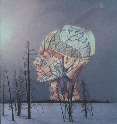 Low - Songs For A Dead Pilot (2023 Repress)