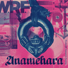 The Woodleigh Research Facility (Andrew Weatherlal & Nina Walsh) - Anamchara