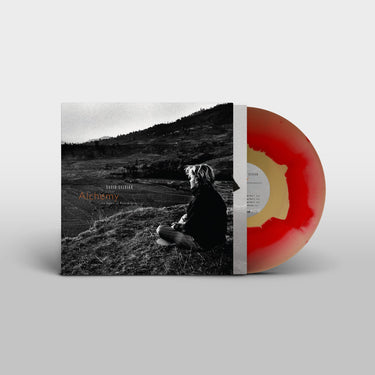 David Sylvian - Alchemy: An Index Of Possibilities (2025 Reissue)
