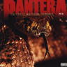 PANTERA - The Great Southern Trendkill