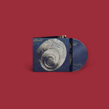 Snail Mail - Ricochet