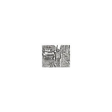 Still House Plants - Still House Plants (2026 Reissue)