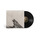 LP