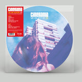 Picture Disc
