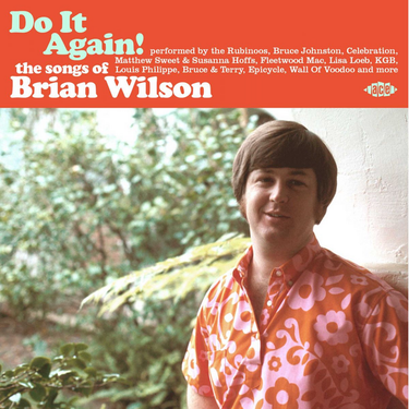 Various - Do It Again! The Songs Of Brian Wilson