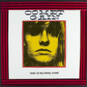 Comet Gain - Howl Of The Lonely Crowd