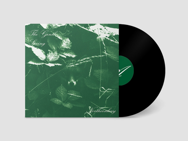 The Gentle Spring - Northernhay