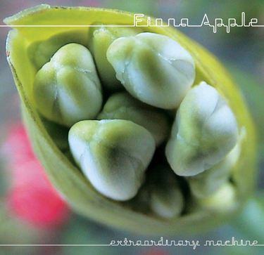 Fiona Apple - Extraordinary Machine