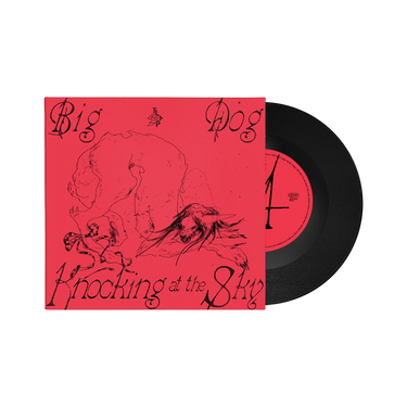 Black Vinyl 7 Inch