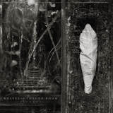 Wolves In The Throne Room - Estuary