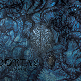 Portal - Vexovoid