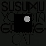 Grinning Cat - Susumu Yokota