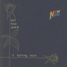 Now - And Blue Space Is Burning Noon
